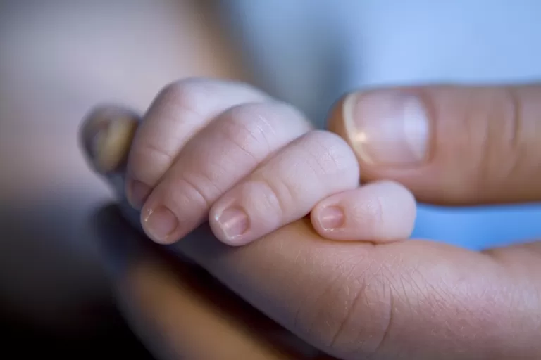 Baby And Mother's Hands